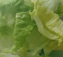 Romaine lettuce