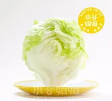 Romaine lettuce