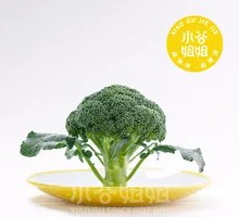 Broccoli
