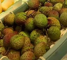 Lychee