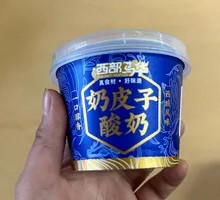 Creamy Milk Yogurt