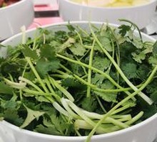 Cilantro