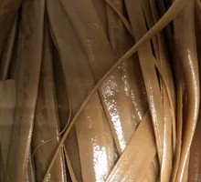 Coarse Grain Buckwheat Noodles