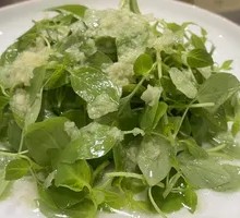 Cold-mixed Houttuynia Herb