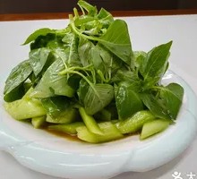 Bamboo Shoot and Cucumber Salad