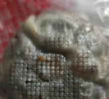 Fermented Soybean Dumpling