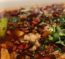 Spicy and Tasty Bullfrog