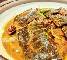 Original Softshell Turtle