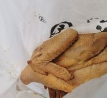 Classic Sauce-Braised Torn Chicken