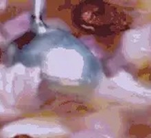 Stewed Lamb in Iron Pot