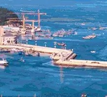 4-ounce Dalian Oyster