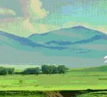 Big Plate Chicken with Xinjiang Rice Noodles