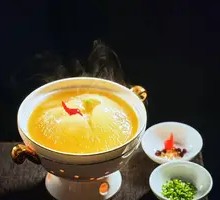 Signature Golden Hook Shark's Fin