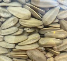 Premium Assorted Flavor Sunflower Seeds