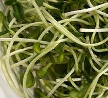 Chao Shan Melon Seed Sprouts