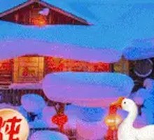 Free-range Rooster Pot