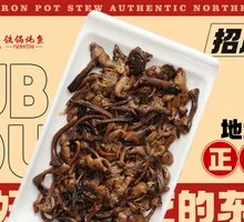 Northeast Wild Mushroom