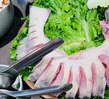 Fresh Lake Softshell Turtle