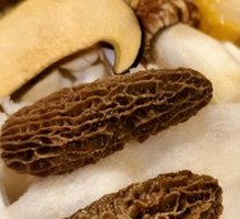 Wild Mushroom Assortment