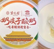 Creamy Milk Yogurt