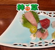 Fresh Fish Sashimi Five Types