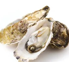 Fresh Oyster Sashimi