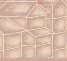 Sichuan Pepper Stir-Fried Chicken