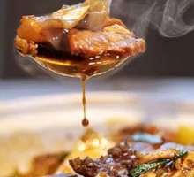 Yellow-skinned Softshell Turtle from Rice Fields