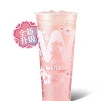 New Pink Cherry Blossom Sparkling Drink