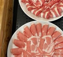 Signature Xilin Gol Lamb