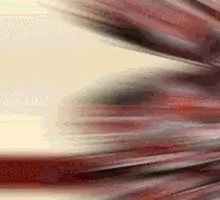 Signature Freshly Sliced Lamb Shank