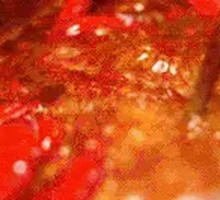 Authentic Chengdu Spicy Base