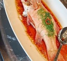 Deep-sea Barramundi