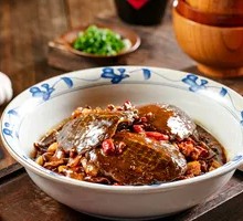 Special Softshell Turtle Cub