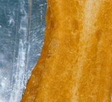 Nutritious Fried Dough Stick