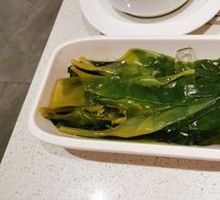 8-Second Kelp Sprout