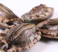 Fresh Abalone