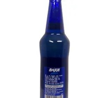 Snowflake Brave Journey