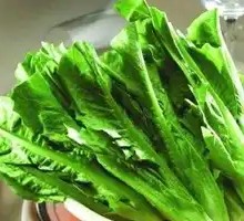 Oilseed lettuce