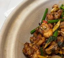Large Bowl of Mountain Rock Frog