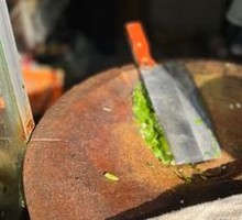 Meat-filled flatbread roll