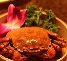 Premium June Yellow Crab