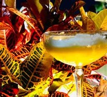 Passion Fruit Rum Sour