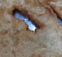 Braised meat with oil cake set