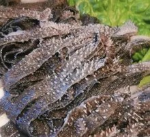 Premium Fresh Beef Tripe