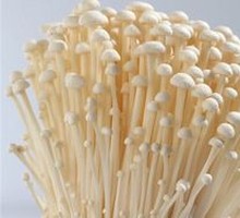 Enoki Mushroom