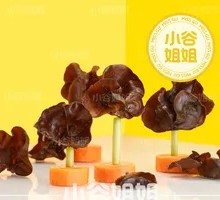 Northeast Black Wood Ear