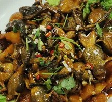 Stewed Frog in Sauce