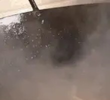 Stir-Fried Fresh Beef