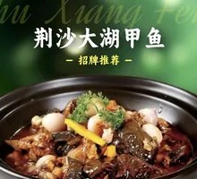 Jingsha Large Lake Turtle